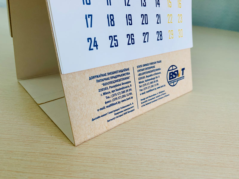 Календарь настенный БШПЗ 2020 от издательства Сегмент фото