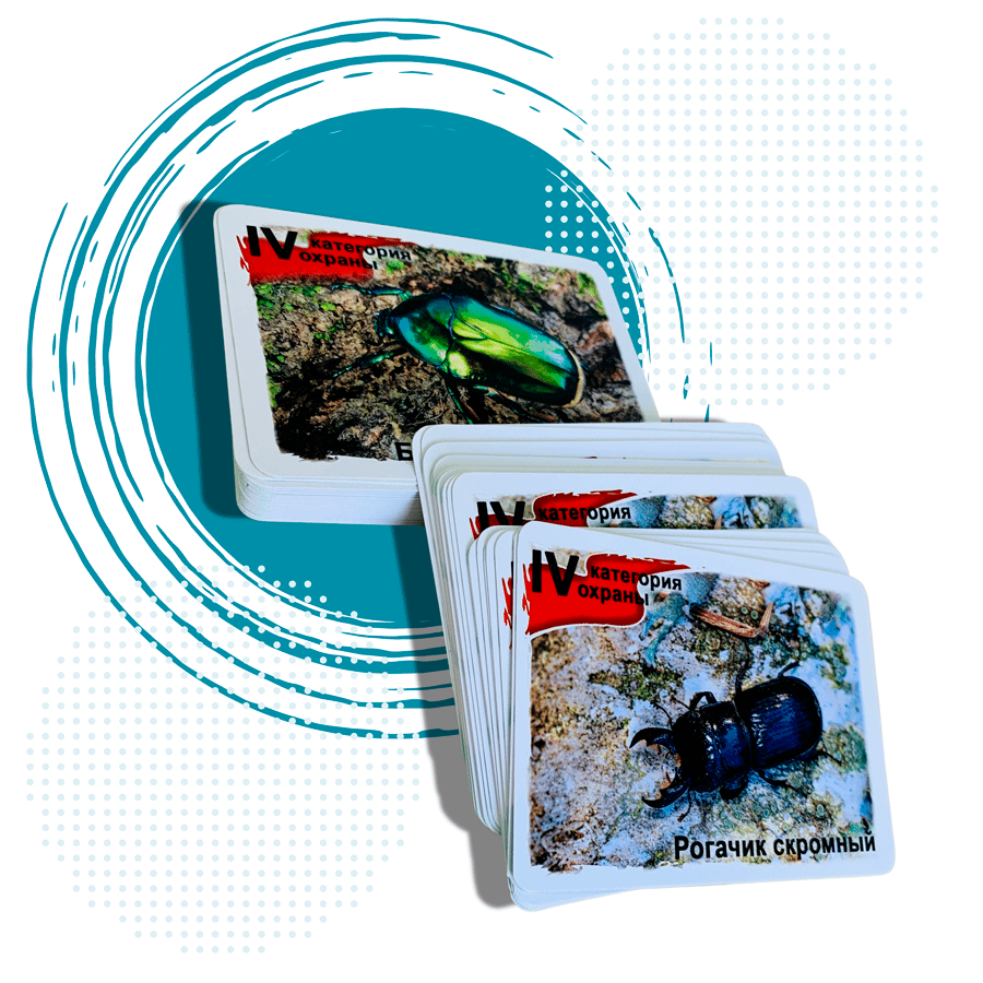 Календари карманные от издательского дома Сегмент фото