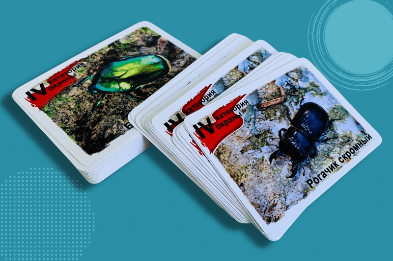 Карманные календари издательства Сегмент фото